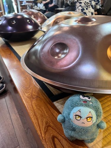 こそっと けんがく