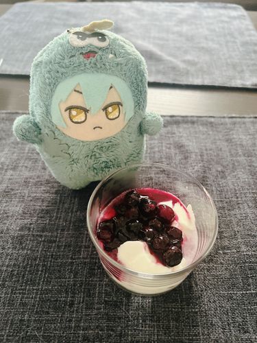 ブルベリ にた