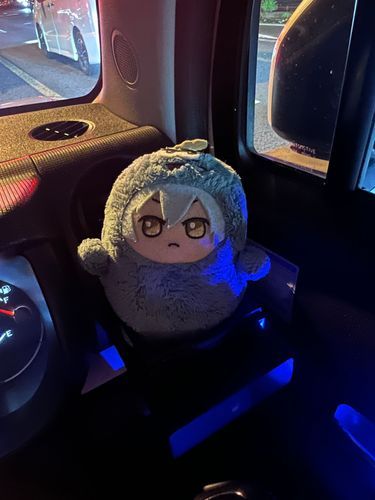 きのうの かえりみち
かいぬし しんごうで とまると かわいいねー って いってる
まあね