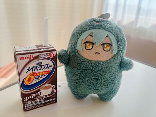 あさごはん かいぬし これで いもたれで しんでる


？？？ (絶食明け、きっつ…)(倒)