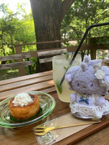 このおおきさ……。
にゃす、いけます。ひとりで、いけます。