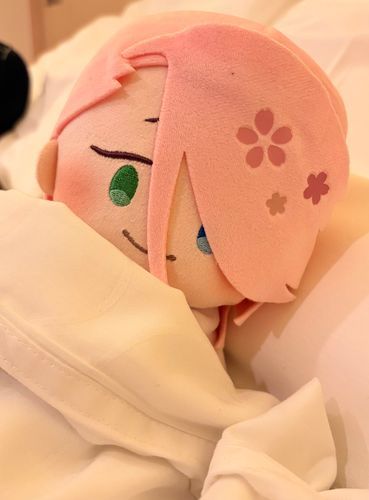 ホテルにお泊まりした時の写真です
ほかの本丸で流行っているらしいので
僕も「主は好きな人いるんですか？」
って聞いてみました🌸