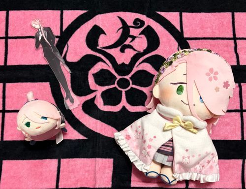主が中古屋さんでお迎えしてくれた、僕の袈裟とおんなじ模様のタオルです🌸