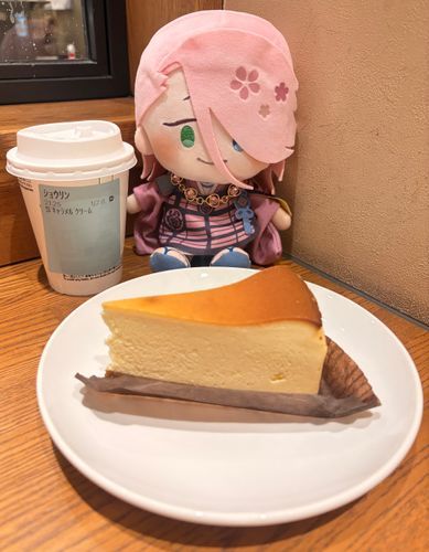 スターバックスさんのチーズケーキです🧀
しっとりしていて美味しいんですよ🌸