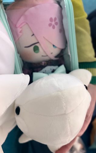名古屋港水族館さんで開催されていたシャチのぬいぐるみくじでお迎えした白いシャチさんです🫍
｢はんぺん｣と命名したそうですよ⬜️