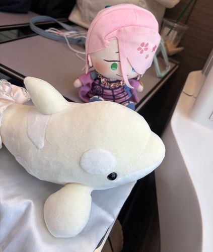 主がこの間お迎えした、シャチのぬいぐるみさんと近鉄特急に乗ったんですよ🌸