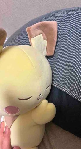 かわいすぎて気づけばお迎えしていた