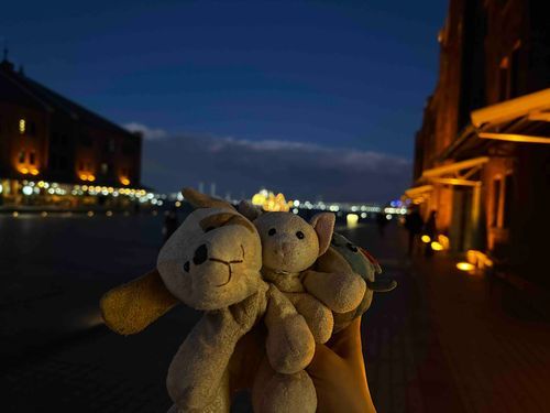 みんなあけましておめでとう〜！
2025年最初のお出かけは横浜だよ🐶