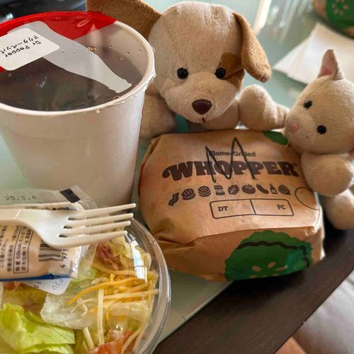 これが、ハンバーガーの王様らしいよ🐶