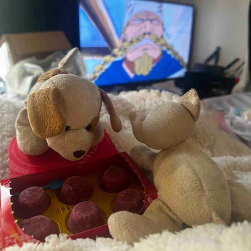 今日のアイスはいちごだよ いちごの季節だね🐶

🐱💭📺🏴‍☠️