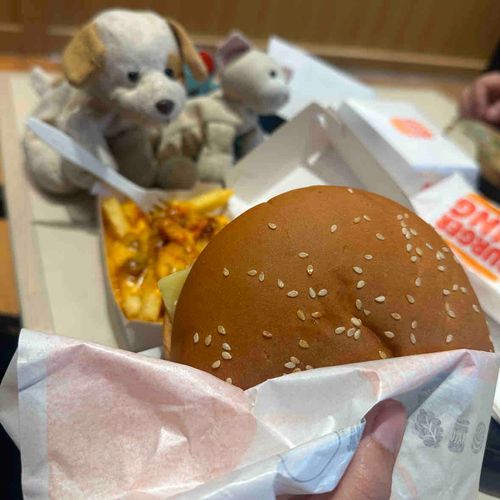 今日は持ち主のお誕生日！でっかいハンバーガー美味しいねえ🐶

🐱💭🍔