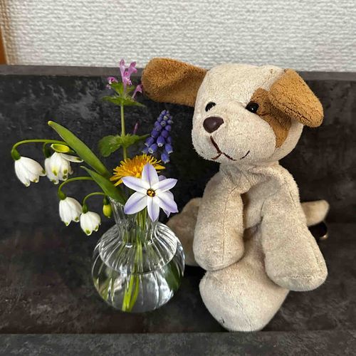 お庭の花を飾ってみたよ🐶🌸