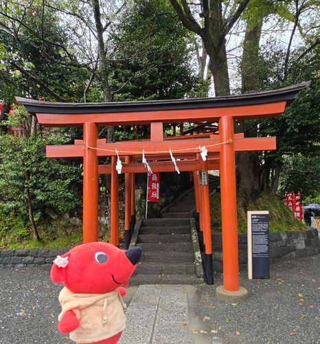 鎌倉旅行来ました！
明日は北鎌倉！