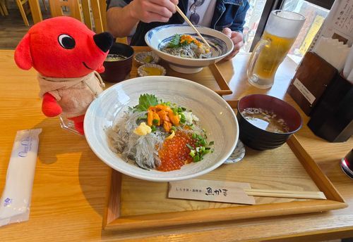 昨日は釜揚げ、今日は生しらす！