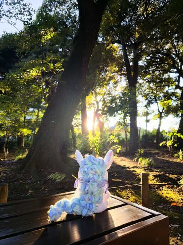 ユニコーンのルナちゃん。
夕日が綺麗でお気に入りの後ろ姿✨