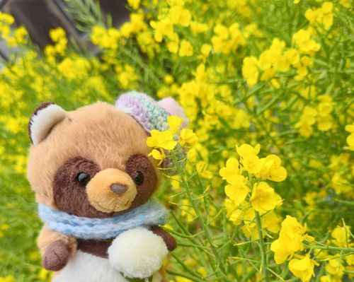 最近の日本は夏が長いけど、春が一番好き！