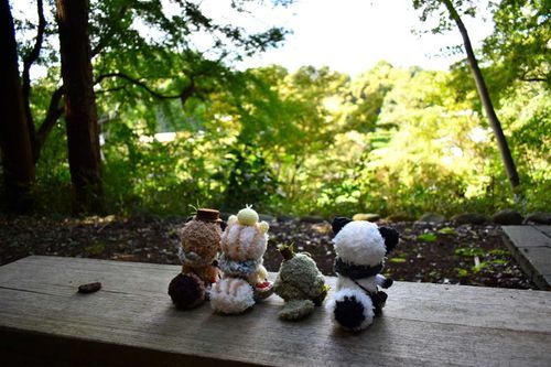 ぬいちゃんたちがメインのお写真が一番好きだけど、雰囲気写真もすき…

「みんなでお散歩きたよ！」