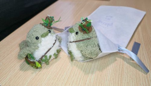今日は有休貰って渋谷手づくり博へ！
プレゼントにと、もう1人同じ子をお迎え✨
喜んで貰えますように…