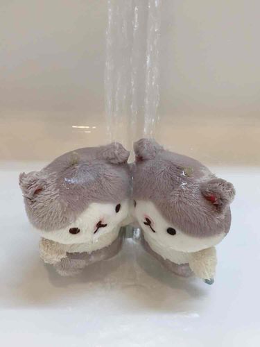滝行