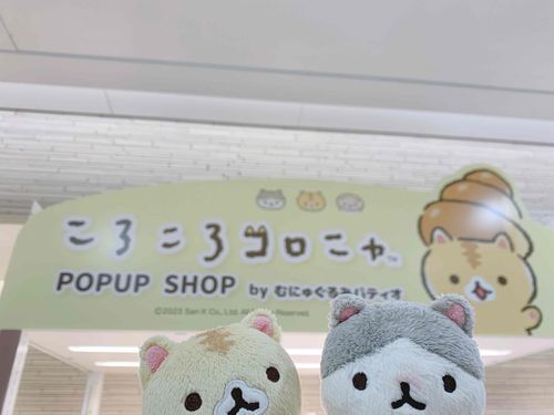 コロニャの初ポップアップショップ行ったよ〜🍞