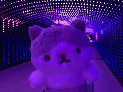 ノリノリぱりぴちゃん