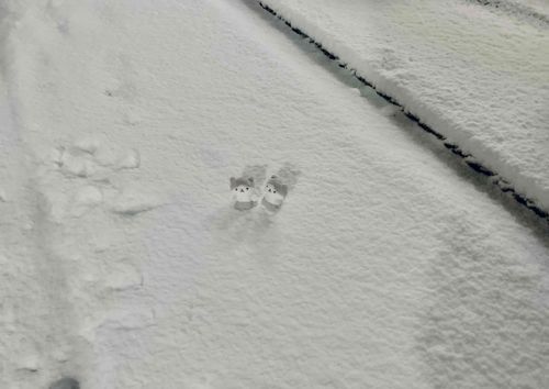 雪すごい❄️