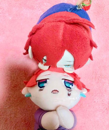 あたらしい、おとももちきたもち❣️まずは、まゆげちぇっくもちよ！(どぽぽ)