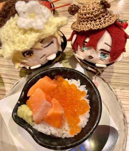 サーモンいくら親子丼だよ🍚(ぴぷ)
どぽたちと、おなじさいずもちね❣️(どぽぽ)