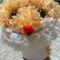 森堂（しんどう）