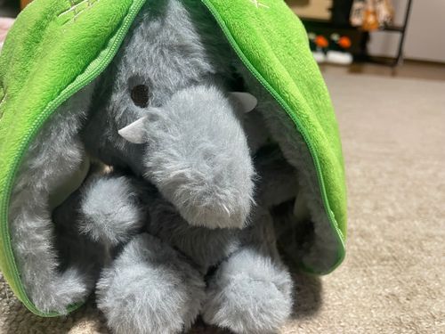 ここから始まるストーリーだぞう。