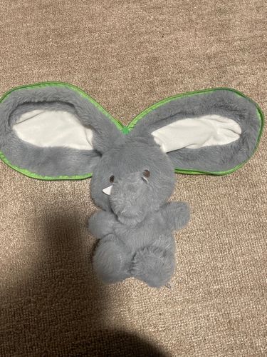 ゾウ100%だぞう。