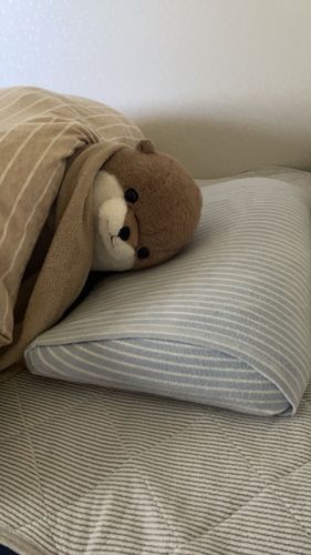 風邪引いちゃった…