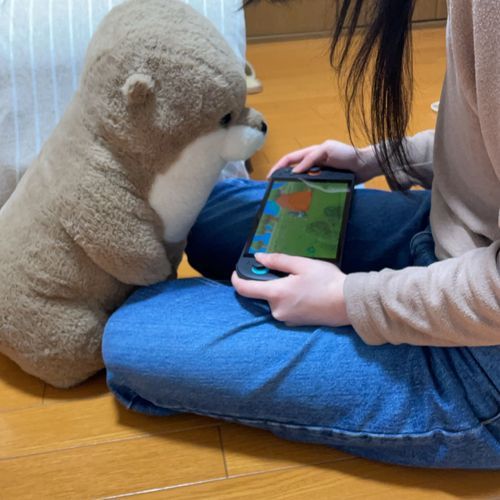コマッタ　お姉ちゃんの“あつ森”  見守る…。「おもちろいね」