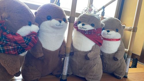 皆さん　僕は4人兄弟なんだよ！左から「テルミ　テタ　コマッタ　シャク」コマッタ1番末っ子なんだよ！