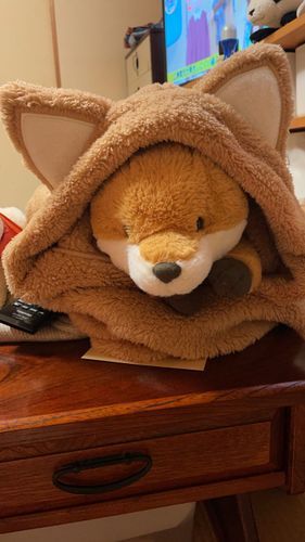 コン吉だよ！えっと…ご主人のキツネ耳付きパーカーをキツネが着る…の図　　　笑　違和感ないよね！