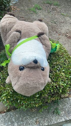 こまったなぁ…日焼けしちゃう…でも「お日様のいい匂い　ふかふかになったね❤️」ってご主人が言ってくれたから嬉しいなぁ☺️