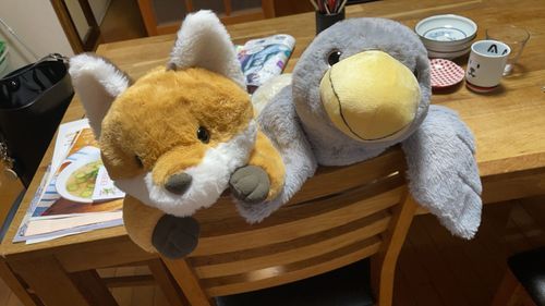 皆んな元気？コン吉の1番仲良しを紹介するよ。僕よりちょっとだけ先輩のハシビロコウの「ハシビー」だよ。本物のハシビロコウは鋭い目をしてるけど　ハシビーは優しいおめめ、してるんだよ。大きな羽で包み込んでくれるよ❤️
