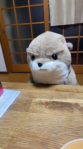 こまったなぁ…お兄ちゃんが「いつも困ってるから自信持って」って僕の毛流れ整えてくれたよ…でもなんか違う……こまったなぁ…。