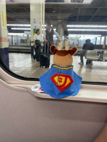 皆んな！シッカマン２号だよ！今回ボクは東京で一人暮らしを始めたご主人の姪っ子ちゃんの安否確認と警備の任務に行ってきたよ！大都会で少しビビったけど、無事任務遂行できたよ！今度はシッカマン　１号３号も一緒に行きたいな！