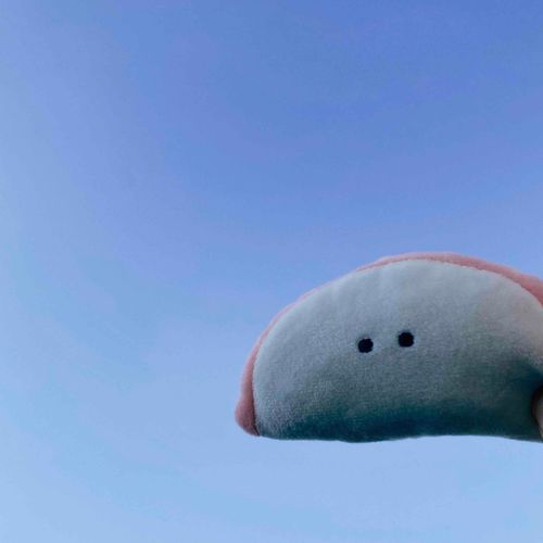 今日の空も青い