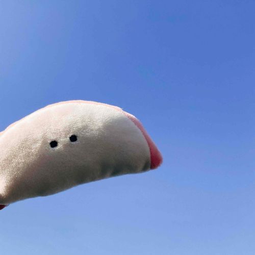空飛ぶかまぼこ🪽