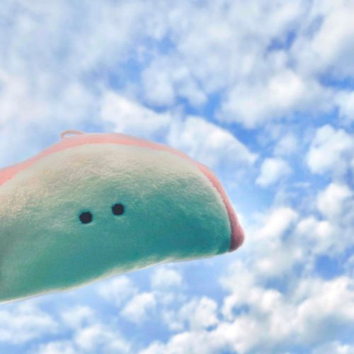 もこもこの雲ね