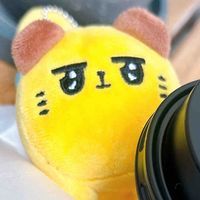 やえばにゃ奈