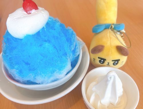 アイス付き〜