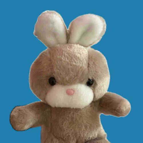 キャンディーちゃんです。チャームポイントはくりくりのお目目です。たまに友達も遊びに来てくれます。
