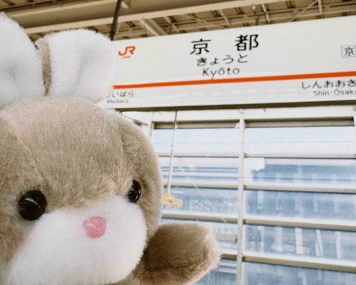 こないだ、はじめて京都にいきました。