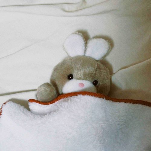 タオルがお布団