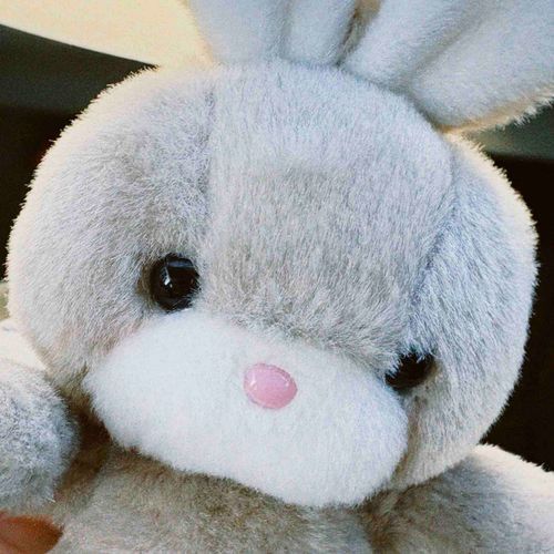 気ままなうさちゃんだから深夜にも起きてるよー