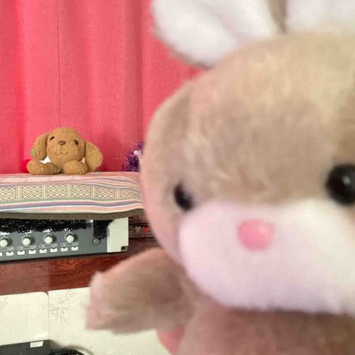 お友達のゆっきーと自撮りしました^ - ^