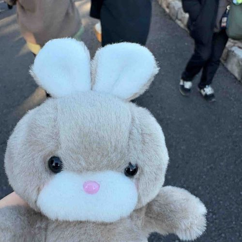 人混み怖いらしくて2枚しか写真撮れんかった、ごめんね